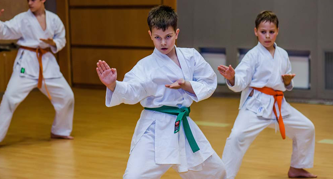 БРЕСТСКИЙ ГОРОДСКОЙ ТУРНИР ПО КАРАТЭ WKF